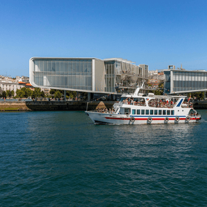 Crucero en Barco por la Ría de Santoña