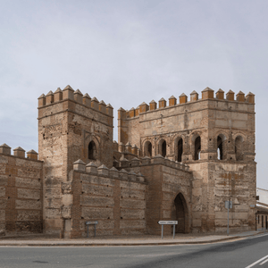 Visita a Madrigal de las Torres, Arévalo y Medina del Campo (Sin Almuerzo)