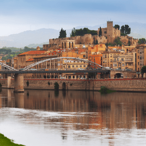 Delta del Ebro y Tortosa (Sin Almuerzo)