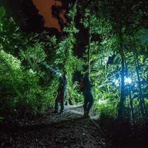 Visita al Parque Privado Curicancha con caminata nocturna