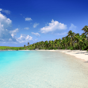 Visita a Isla Contoy e Isla Mujeres