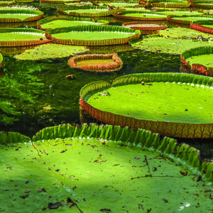 Descubriendo el Norte