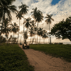 Excursión: Road to the sunset