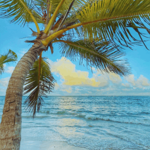 miches todo incluido