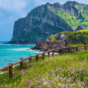 jeju corea