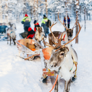 Paquete de Excursiones
