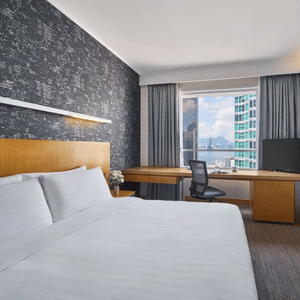 Hoteles con categorías de 4 y 5*