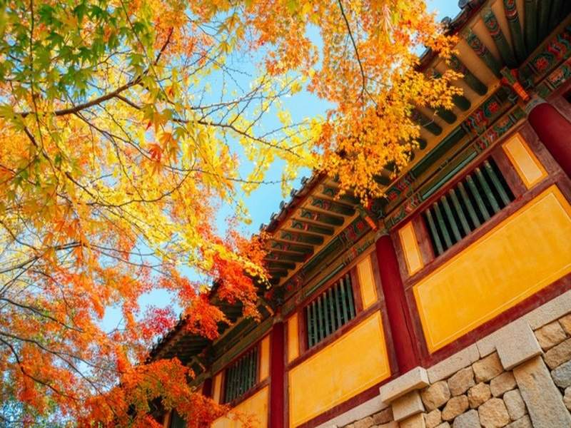 Templo Bulguksa, Gyeongju (Corea del Sur)