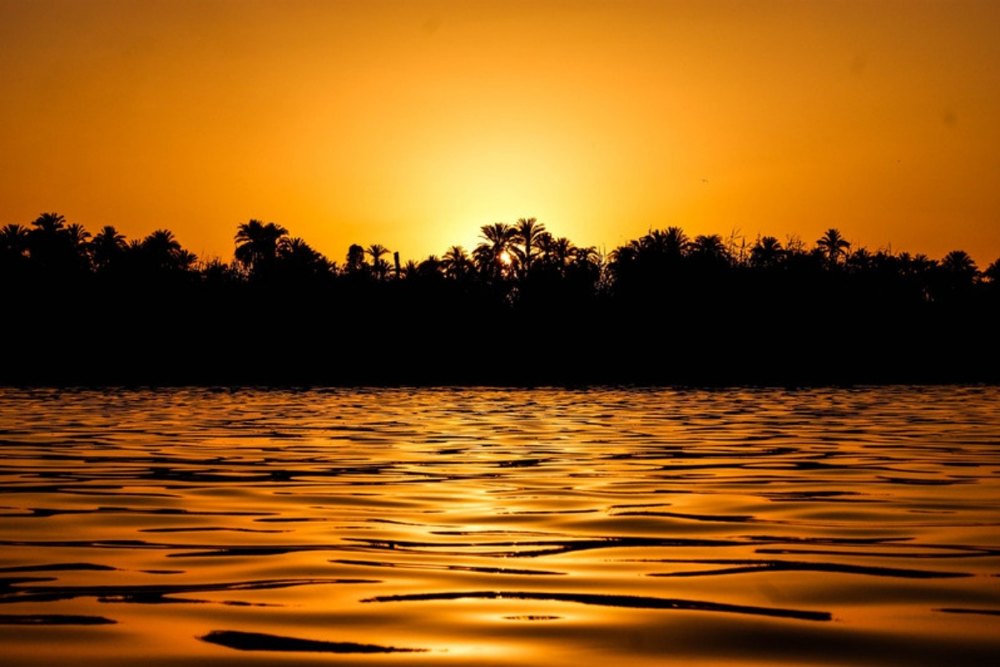 Atardecer sobre el Nilo con palmeras, crucero por el Nilo