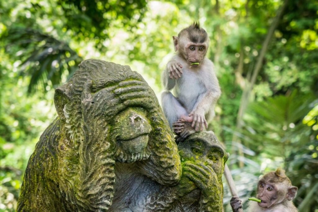 Macacos sobre una estatua cubierta de musgo en el Bosque de los Monos de Ubud, Bali (Indonesia)
