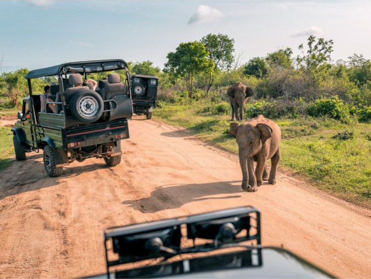 Safari en jeep con elefantes en un camino de tierra de Yala, Sri Lanka