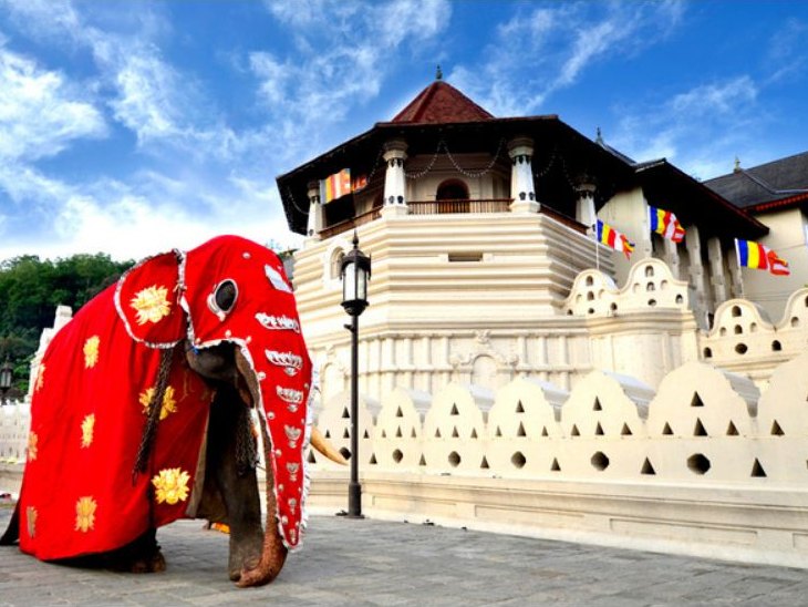 Templo de la Reliquia del Diente en Kandy, Sri Lanka, con un elefante ceremonial