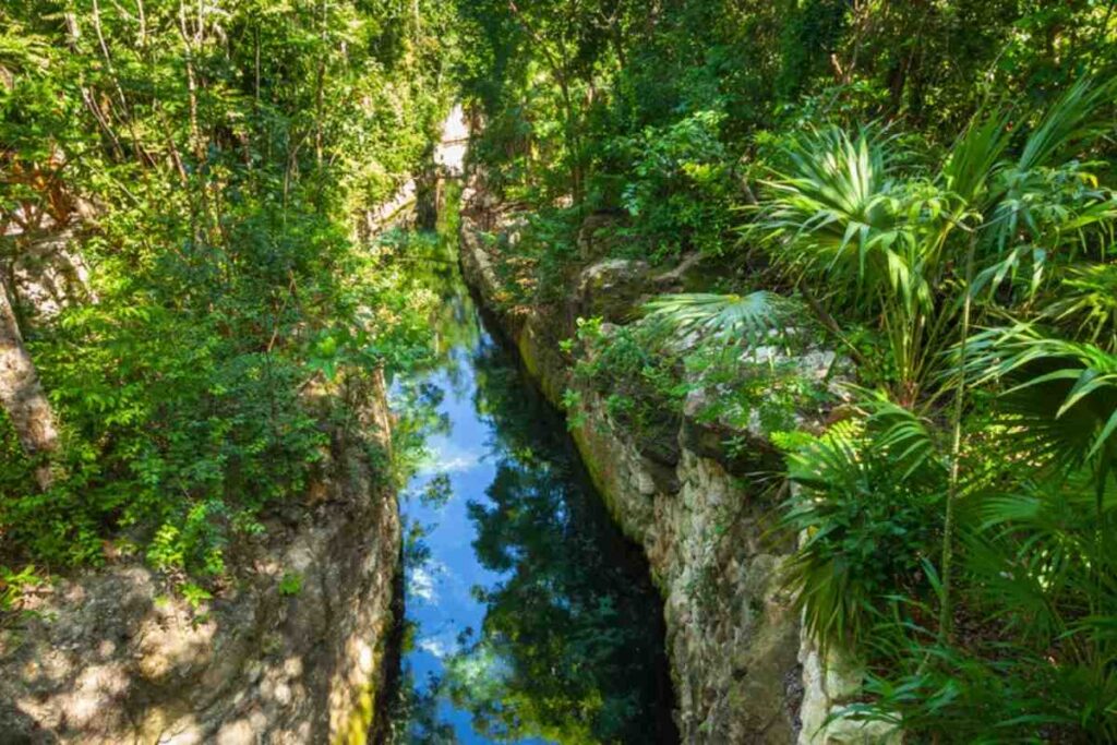 Xcaret Plus