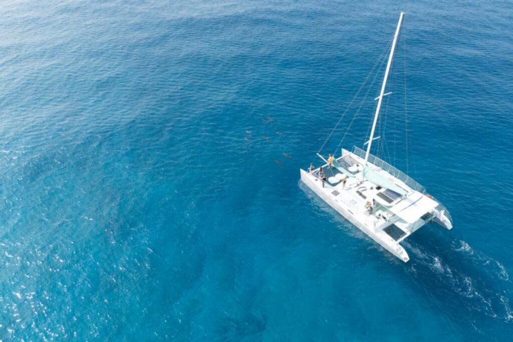 Bebe Catamarán compartido