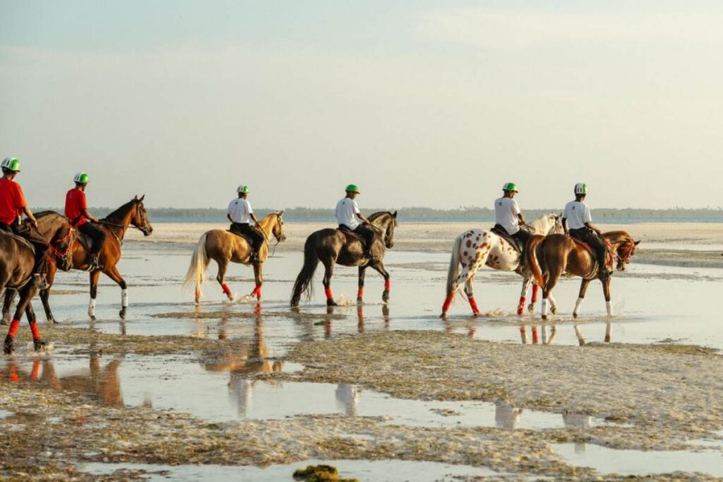 Paseo a caballo de 1 hora